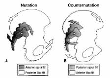 Nutation vs Counter Nutation of the Pelvis